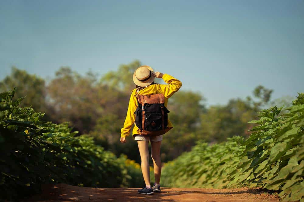 A person wearing a yellow jacket, straw hat, and backpack walks down a dirt path through a field of lush green plants.