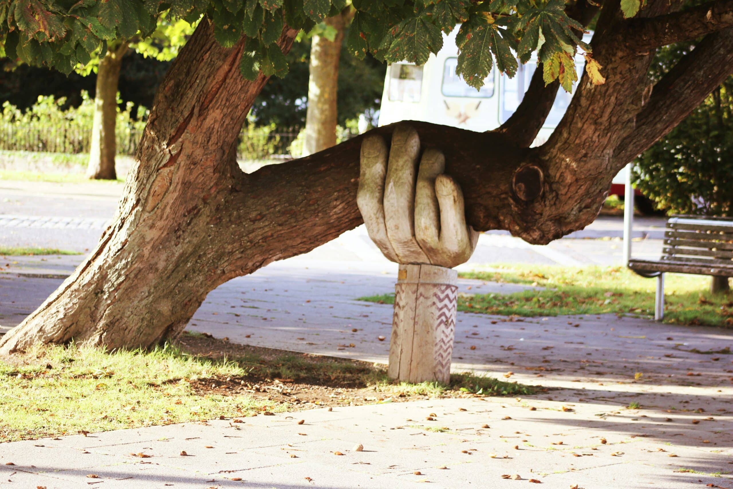 Wooden hand sculpture supporting a tree branch.