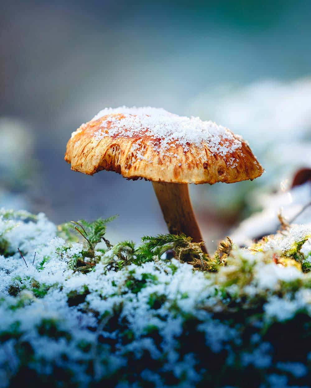 Hands stacked in unity