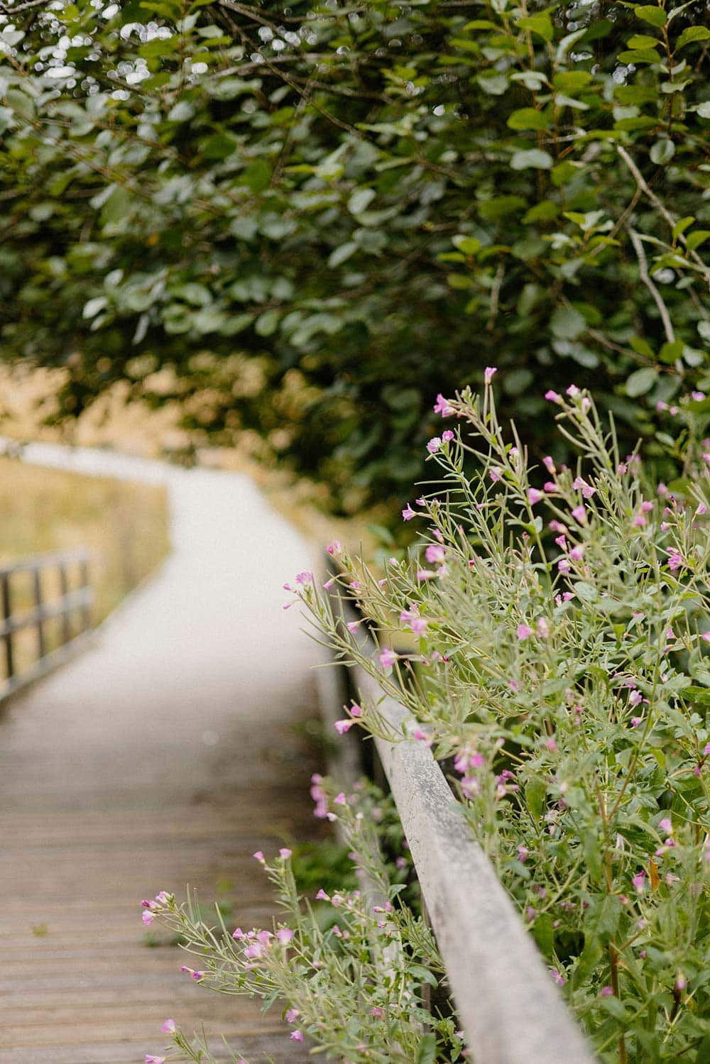 Man reading a book in bed.