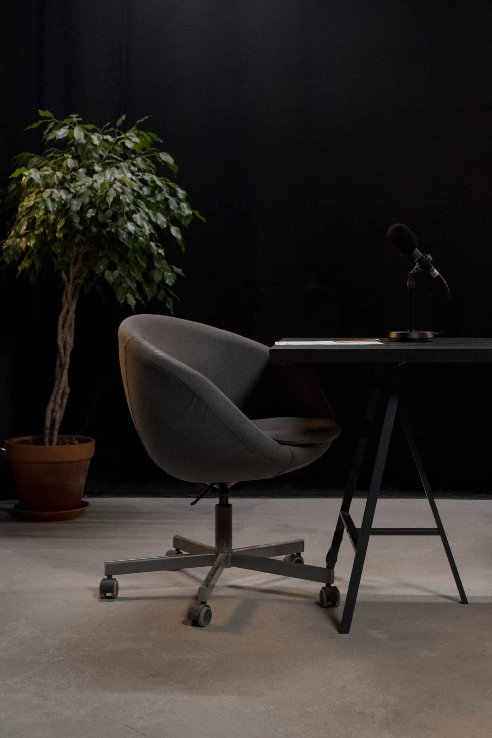 Armchair, cabinet, and plant.