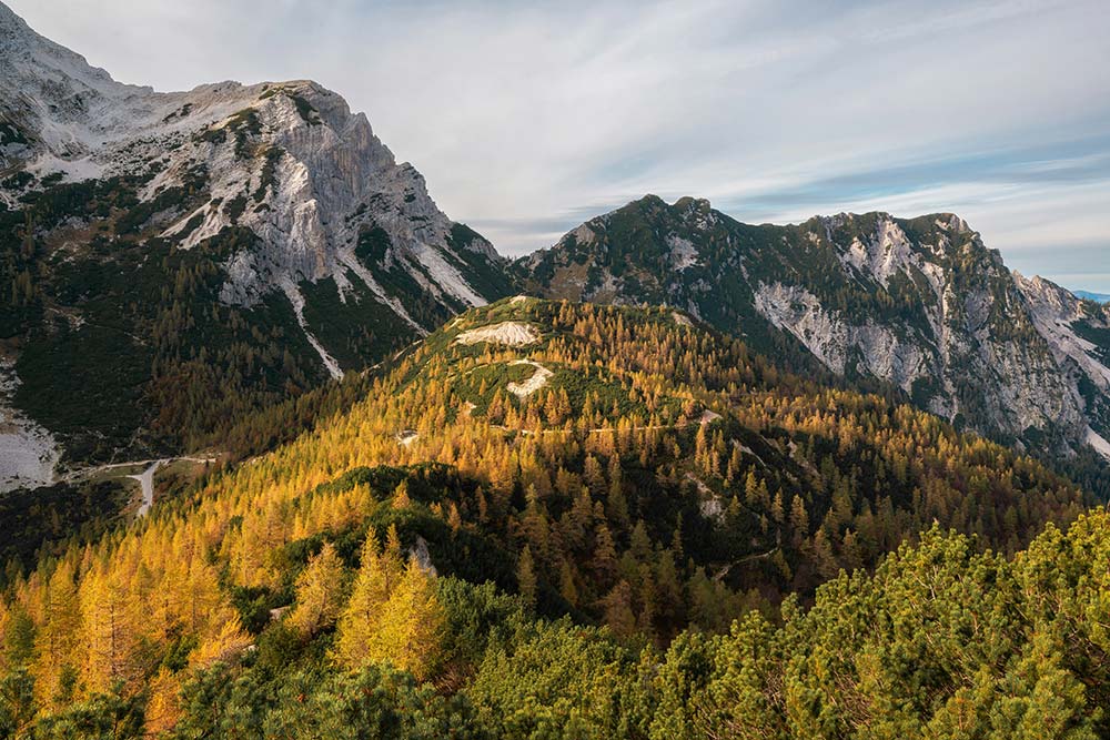 a view of a mountain range with trees in the foreground