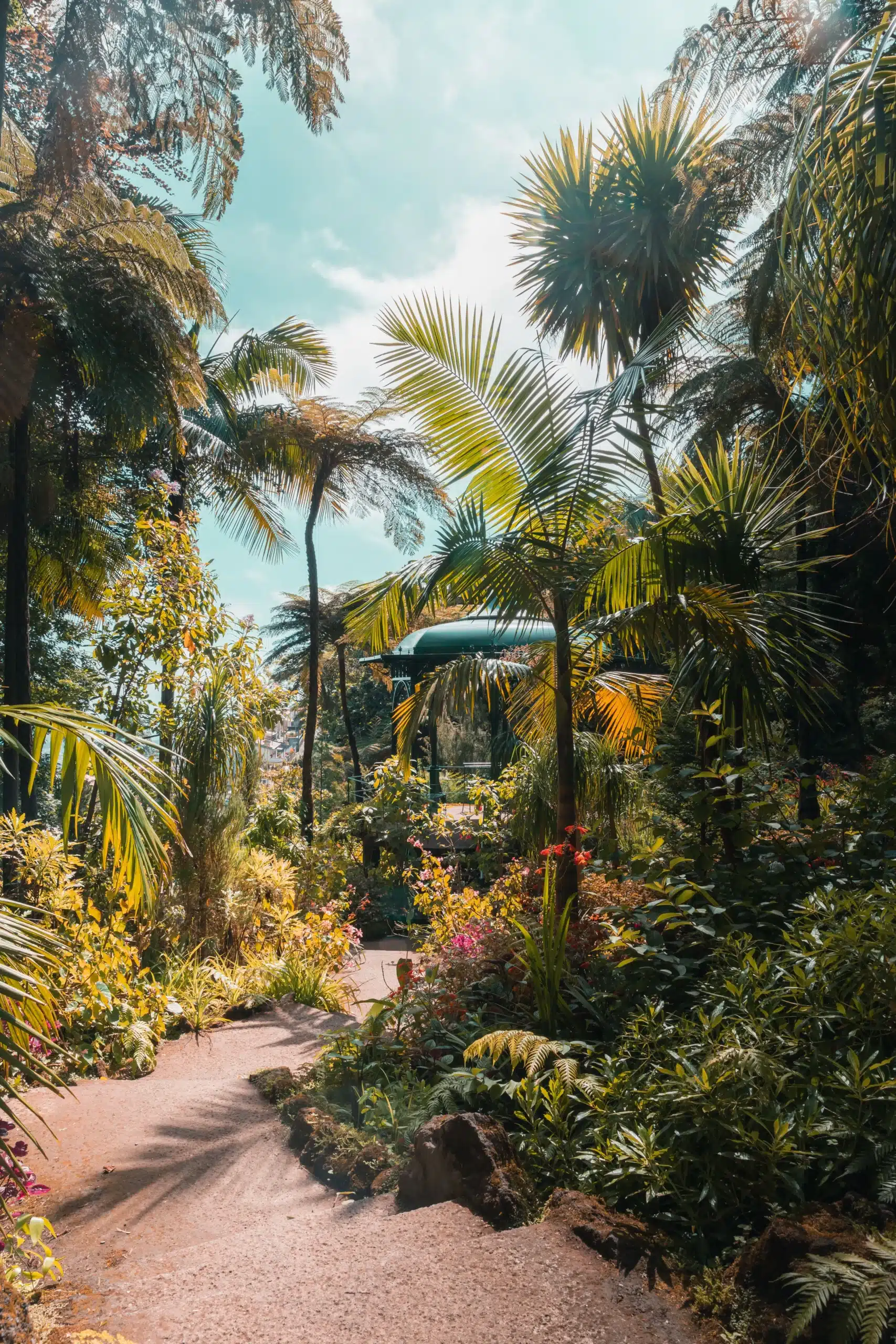 A winding stone pathway leading through a lush tropical garden filled with palm trees and vibrant green foliage toward a green gazebo.